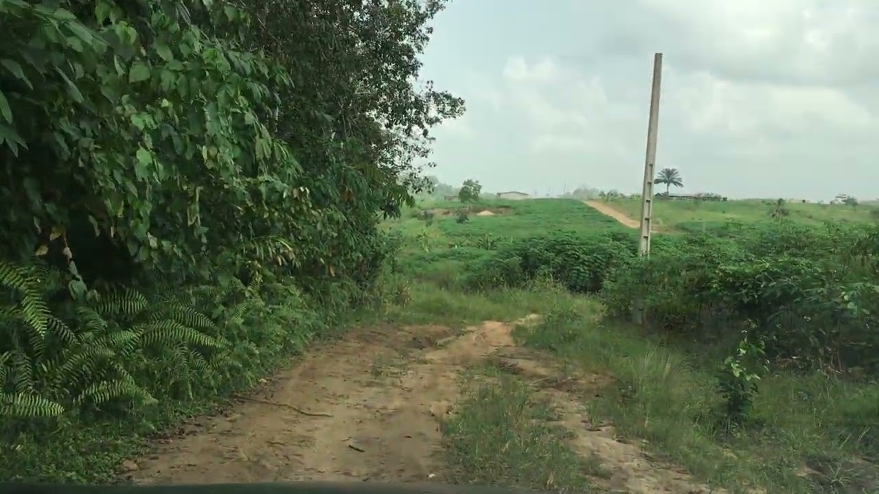Terrain à Samo 1 ilot 6 lots approuvés non loin du goudron abidjan-noe