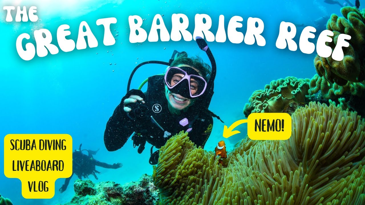 ДАЙВИНГ НА БОЛЬШОМ БАРЬЕРНОМ РИФЕ | 2-дневное дайвинг-сафари с Divers Den