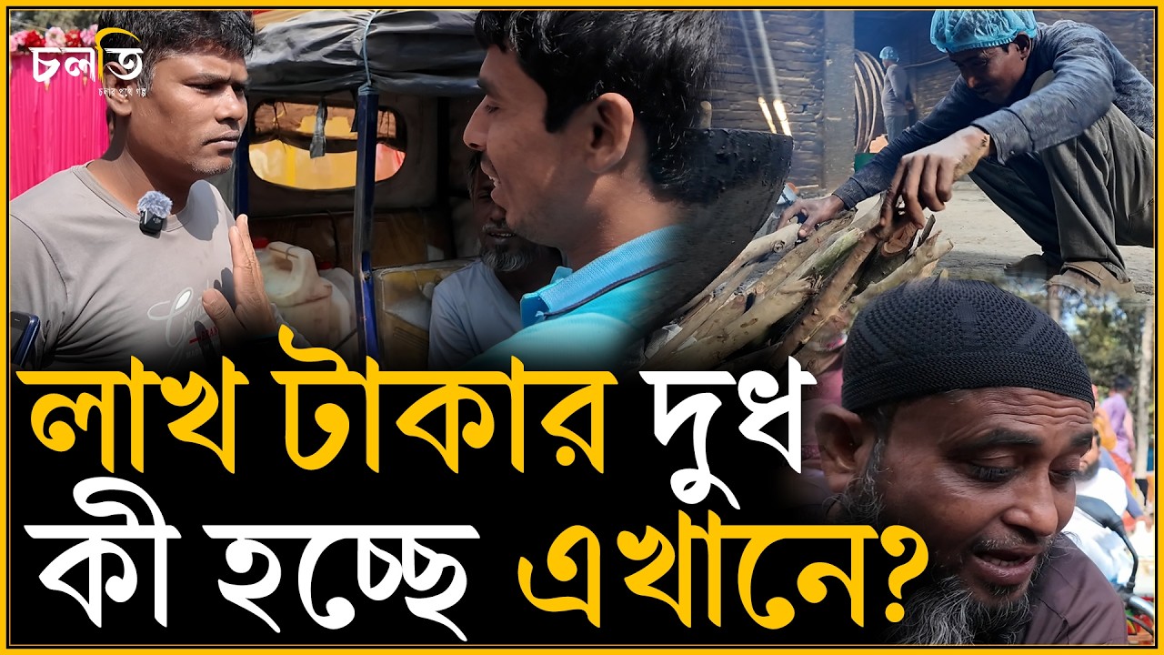 লাখ টাকার দুধ কোথায় যাচ্ছে? | চলতি
