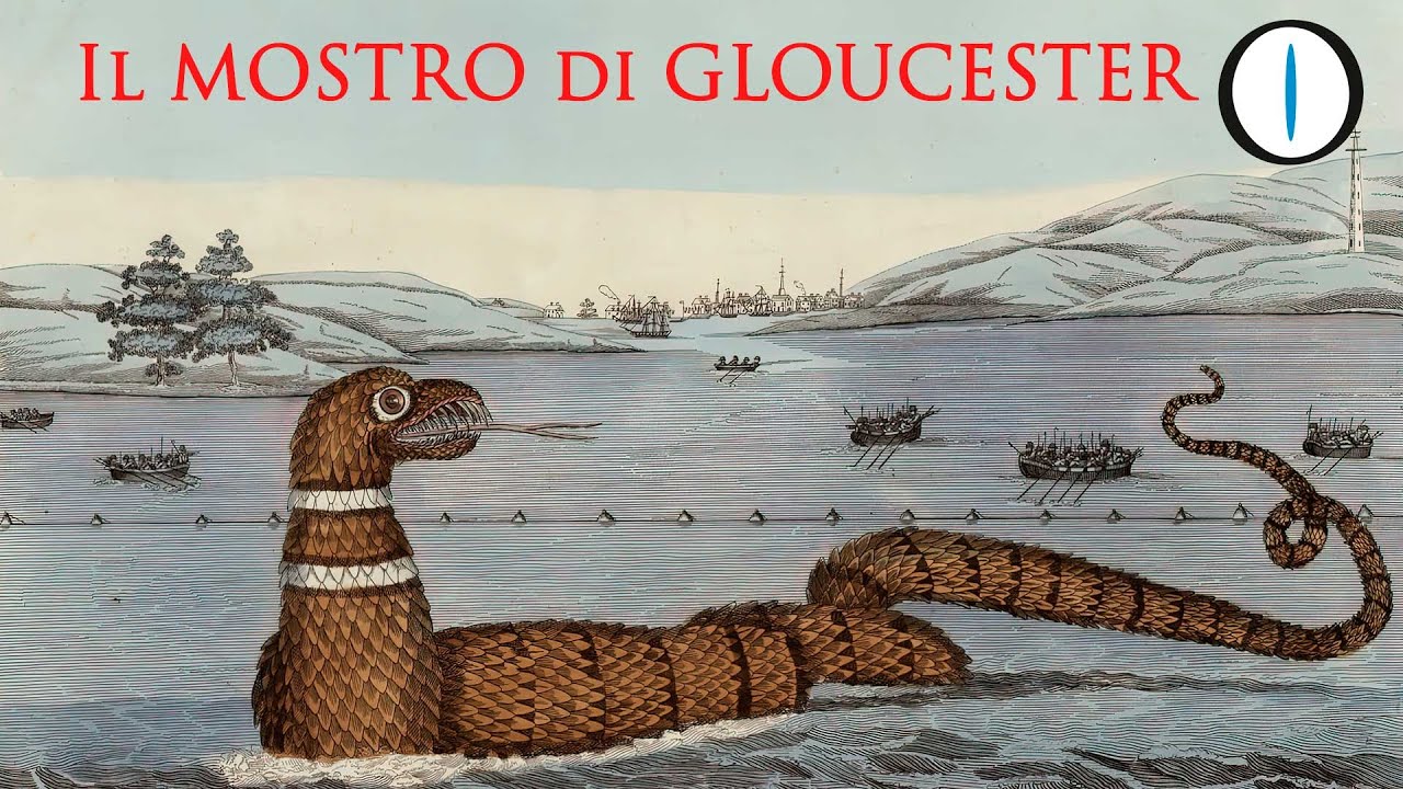 Il MOSTRO MARINO di Gloucester