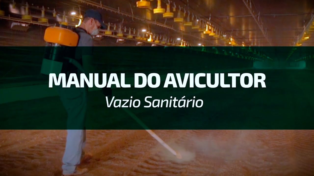 Manual do Avicultor – Vazio sanitário