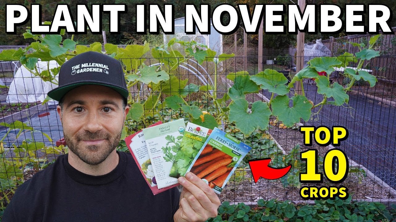 10 Vegetables You Can STILL Plant In NOVEMBER For A Lovely Fall Garden