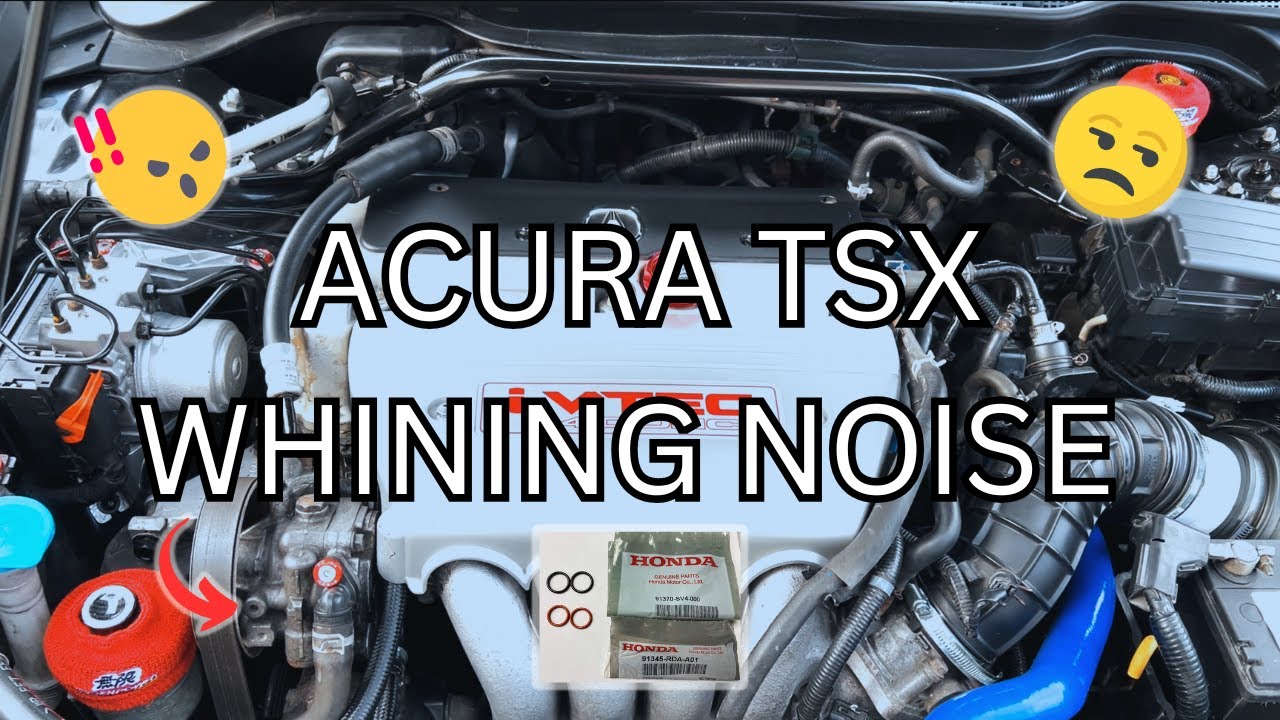 How to Fix Whining Honda/Acura Power Steering Noise | 2006 Acura TSX | EASY FIX!!