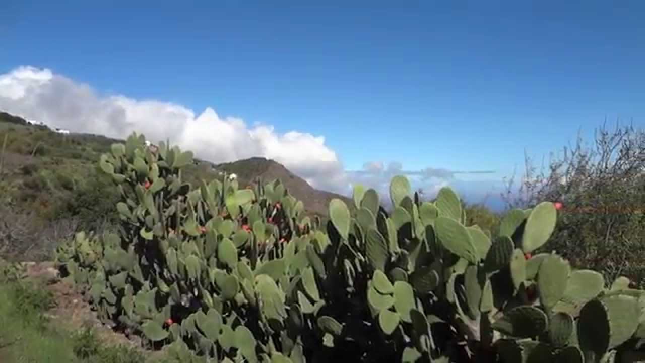 Unber&uuml;hrtes Wanderparadies | El Hierro | Eurohike Wanderreisen