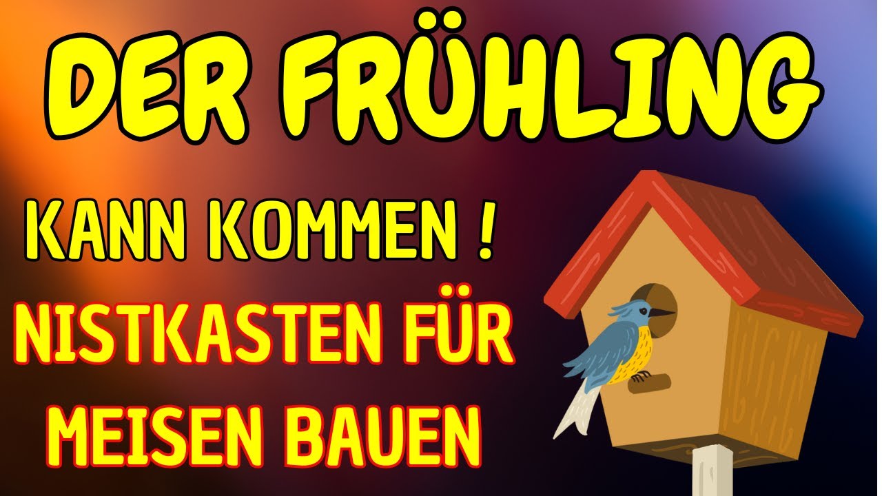 Nistkasten für Meisen selber bauen. NABU-Bauplan 🐦🔨📐