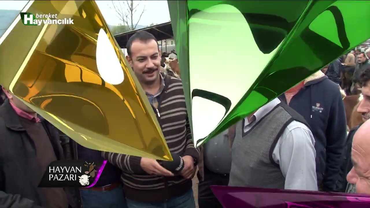 Hayvan Pazarı - Bartın