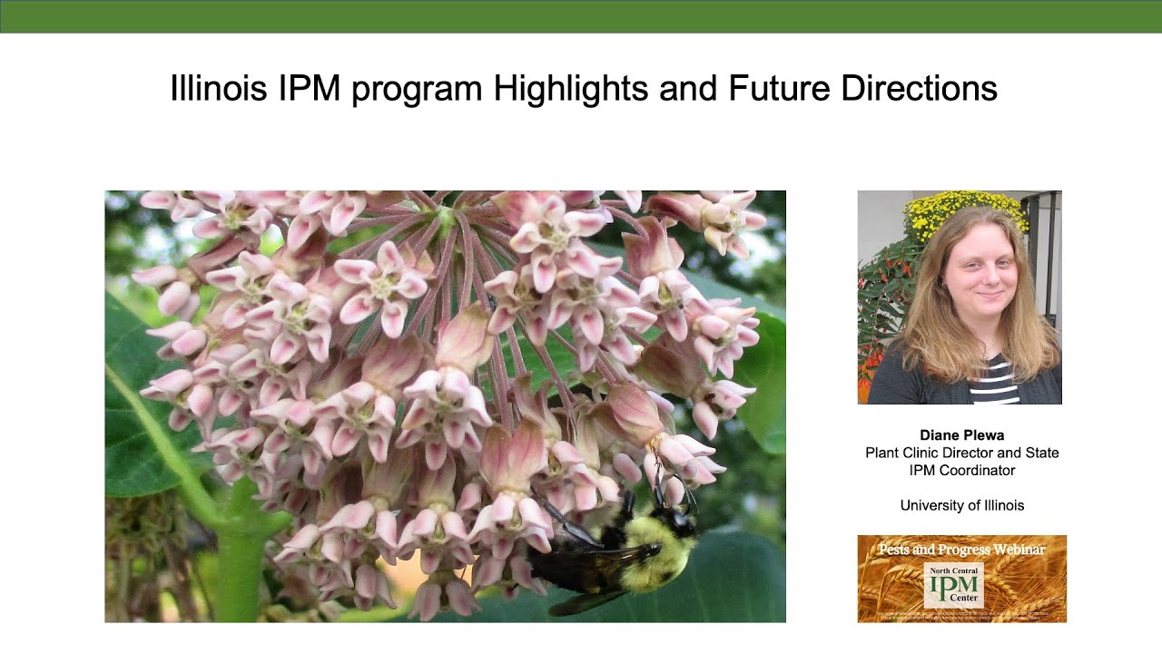 Ilinois IPM Program Highlights -- Diane Plewa