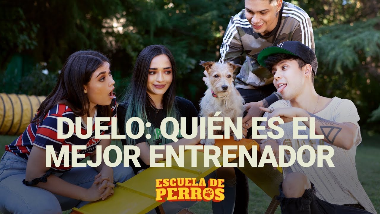 Calle y Poché, PaisaVlogs y Mario Ruiz compiten como maestros perrunos