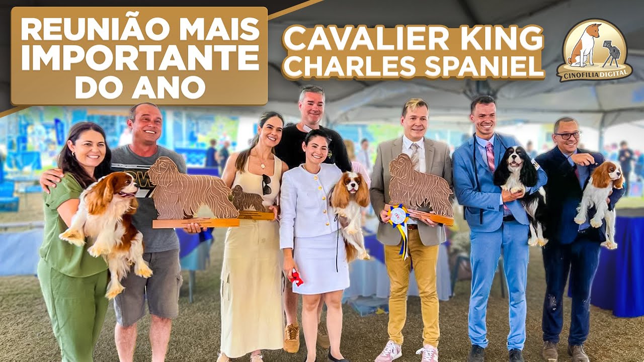 Cavalier King Charles Spaniel | 3ª Exposição Nacional da Raça | Cinofilia Digital