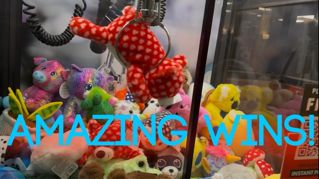Claw Machine Luck Was REAL Today - 4 Wins! 