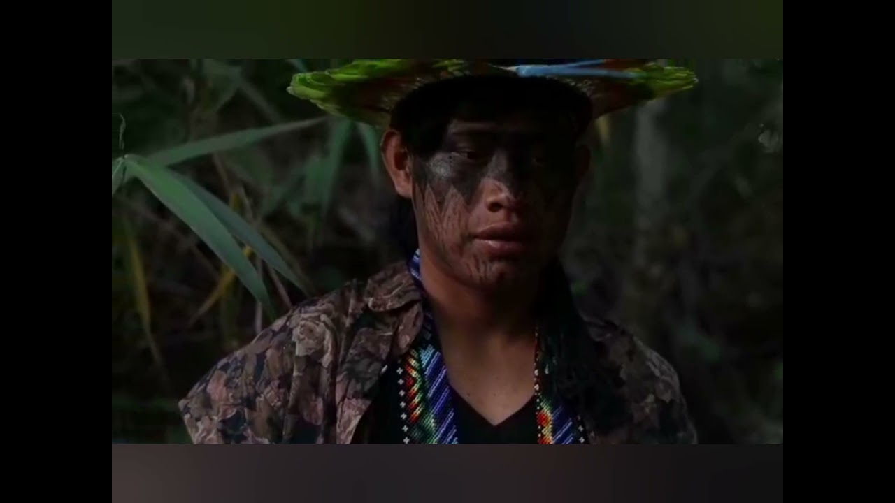 Paka kamãnawa ( kaino kaino )