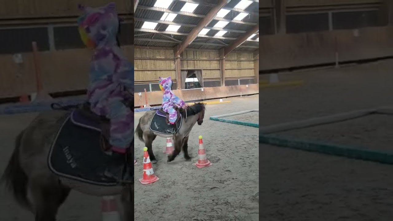 concours equifun en entier sur la cha&icirc;ne 🦄