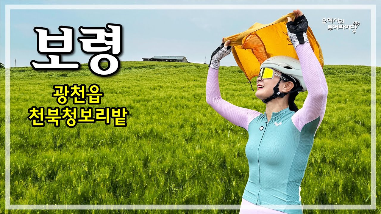 보령 청보리밭 (보령-오서산-광천읍-천북청보리밭-대천방조제) '25.05.11.