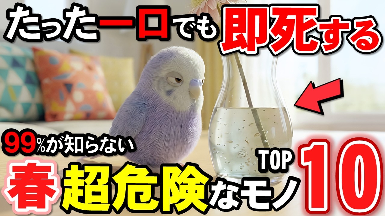 殆どが知らない！春にインコが食べると危険モノTOP１０