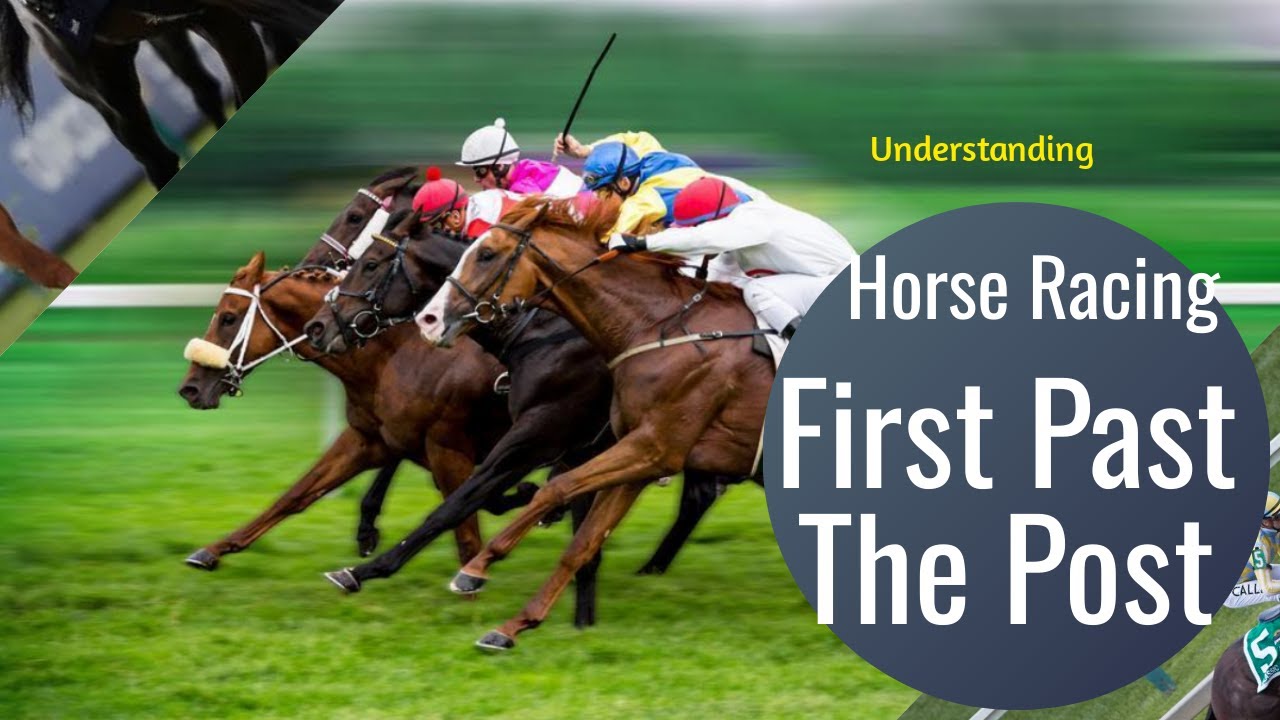 Mastering First Past The Post: Essential Horse Racing Betting Tutorial 2023