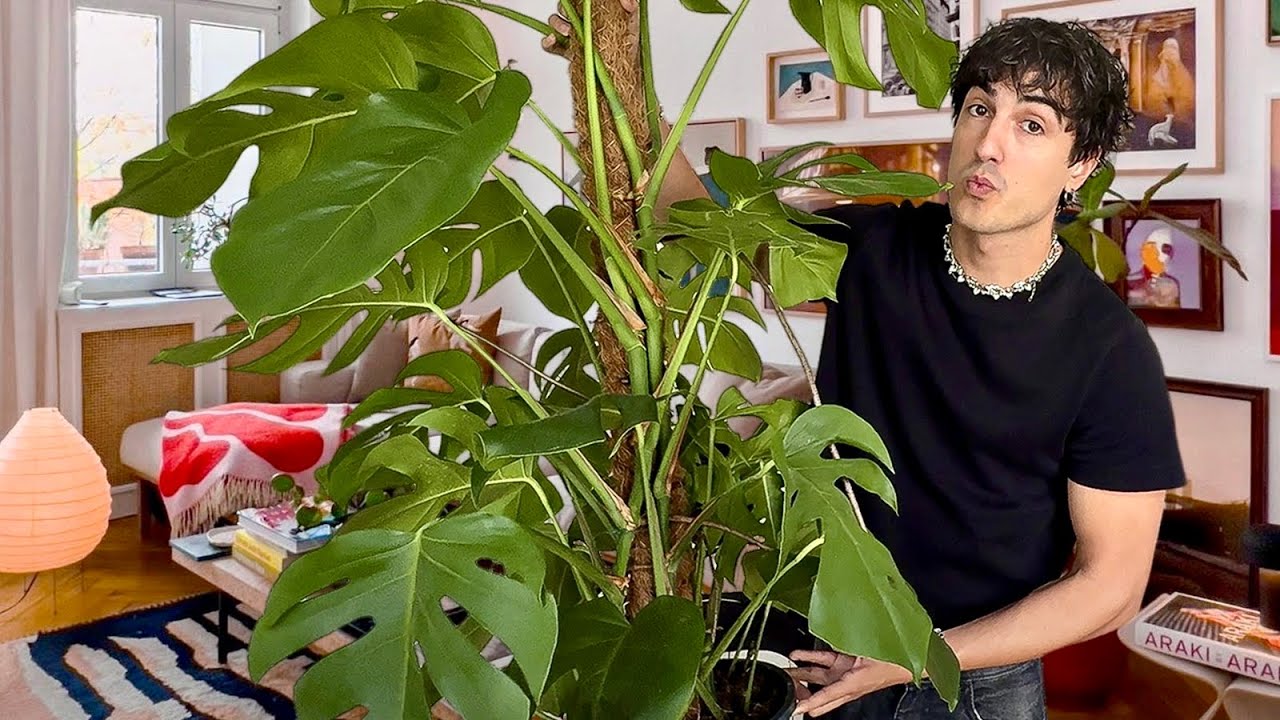 decorando mi nuevo piso en Berlin🇩🇪 | Parte 1
