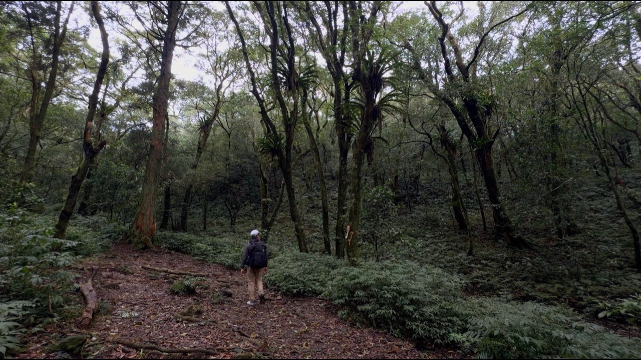 烏來三山（美鹿山、高腰山、拔刀爾山）