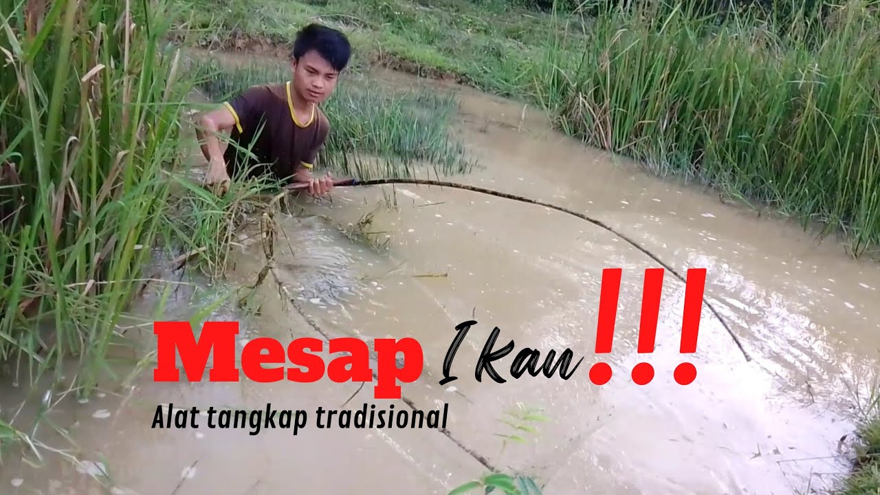 Mesap ikan  pakai alat tangkap tradisional.....!!! YN Channels