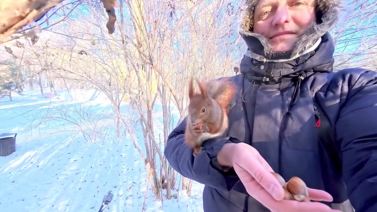 A squirrel paradise in Warsaw, Poland