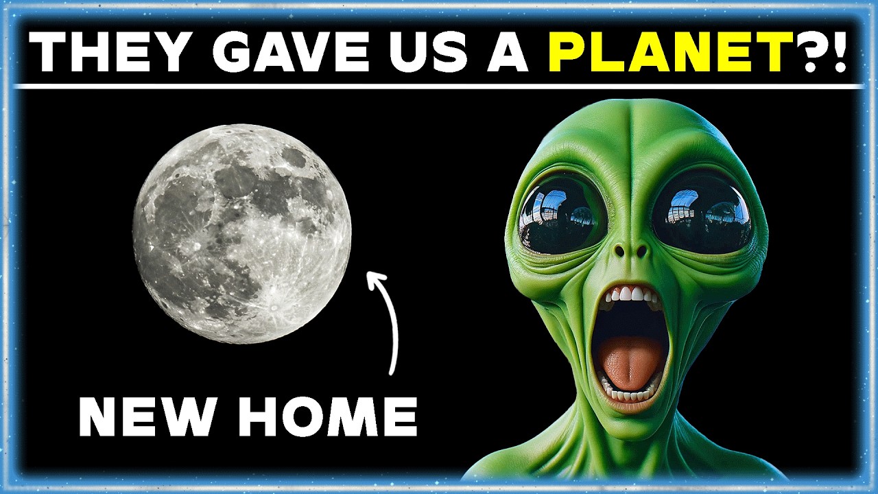 We Arrived for Repairs, but Humanity Gave Us MUCH More | Best HFY Stories