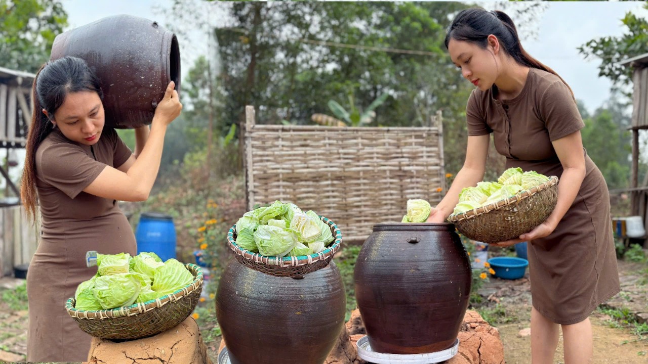 My garden has a lot of cabbage, which I often pickle to store and eat with eel and snakehead fish.