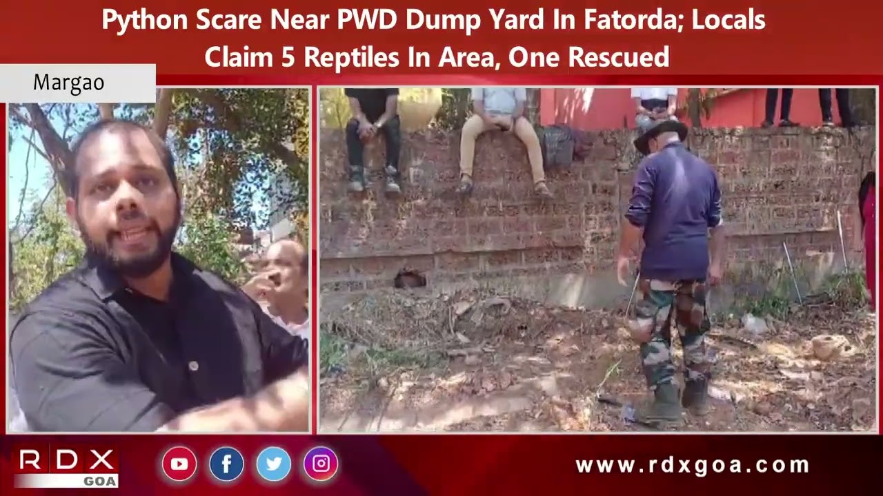 Python Scare Near PWD Dump Yard In Fatorda; Locals Claim 5 Reptiles In Area, One Rescued