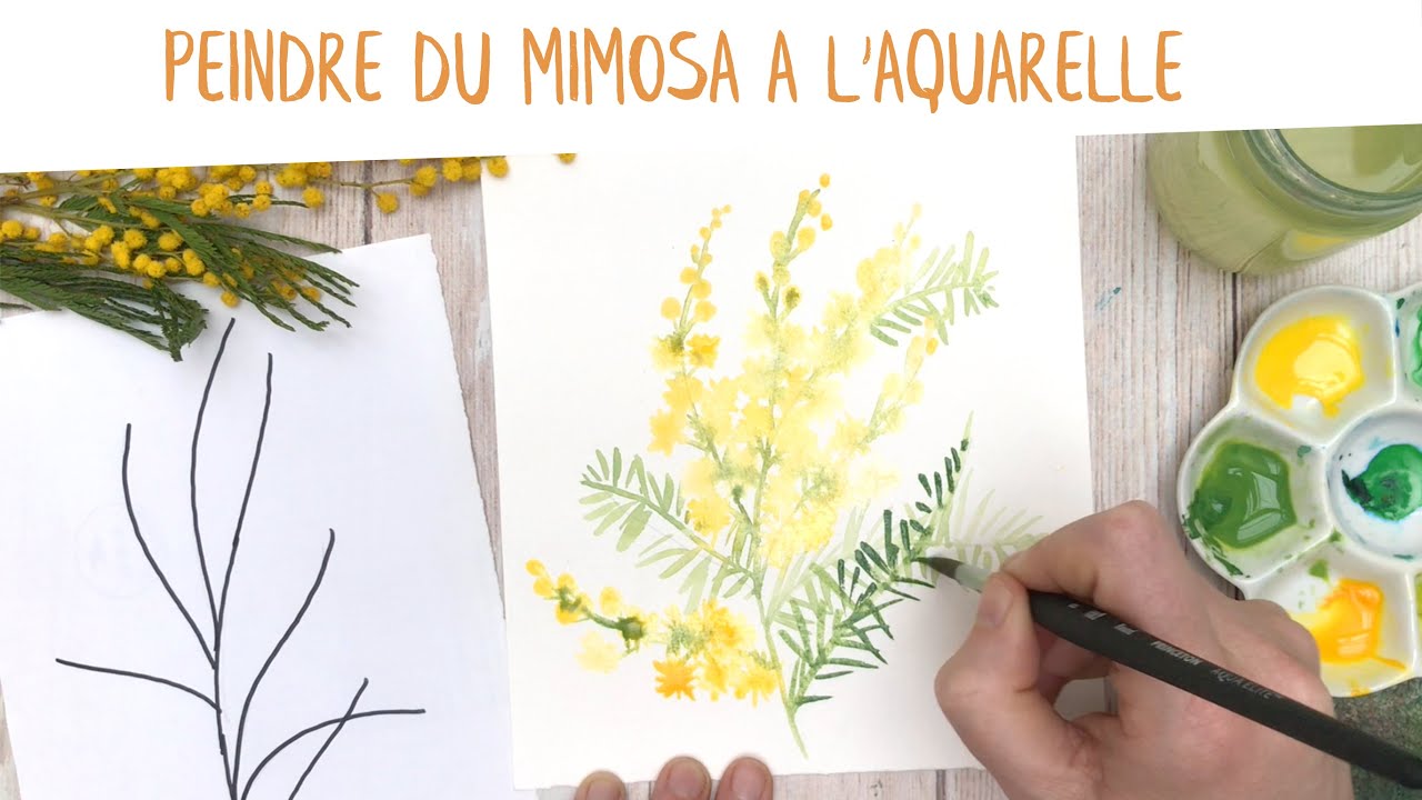 Tutoriel : peindre du mimosa à l'aquarelle