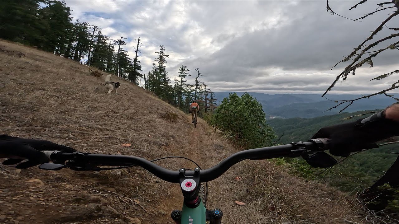 Lower Alpine Trail Oakridge | 4K POV Mountain Biking Oregon (RAW)