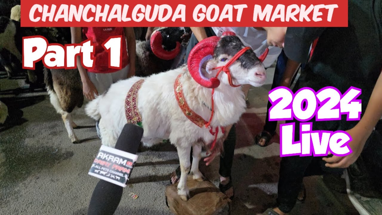 chanchalguda goat market live 2024 | chanchalguda bakra market part 1