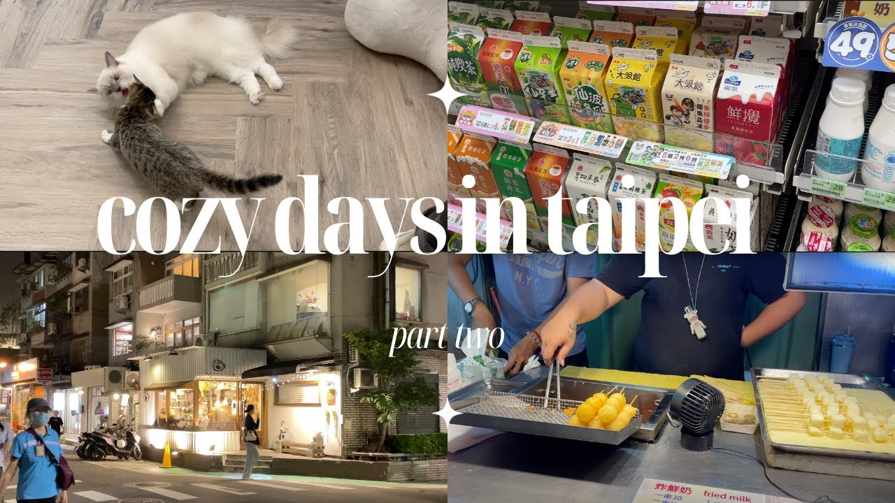 taipei trip (2/2) - fueling my soymilk addiction, cat cafe, shilin night market, b-boy dance battles