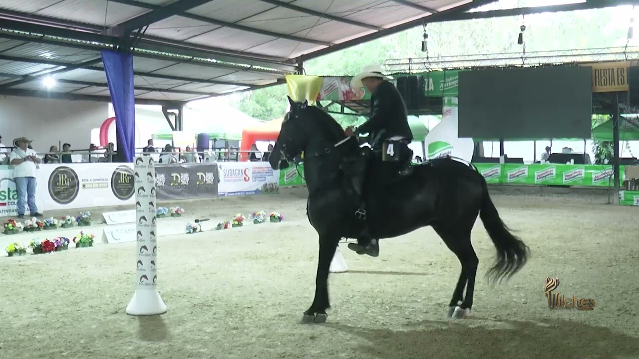 PODEROSO DE DOBLE C, TERCER PUESTO CABALLOS CASTRADOS P3 LOS POTRILLOS MONTERÍA GRADO B 2026