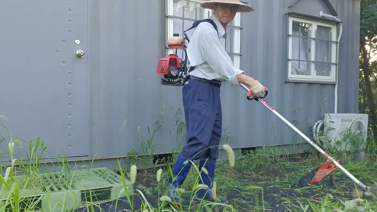 2025 8월말 엘림하우스(3. 예초기로 풀베기)End of July, Elim House(Part3. Mowing with a lawnmower)