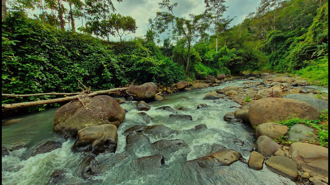 🌿Slow Your Breathing and Sleep Naturally to Cool Mountain Water Through Bamboo Trails