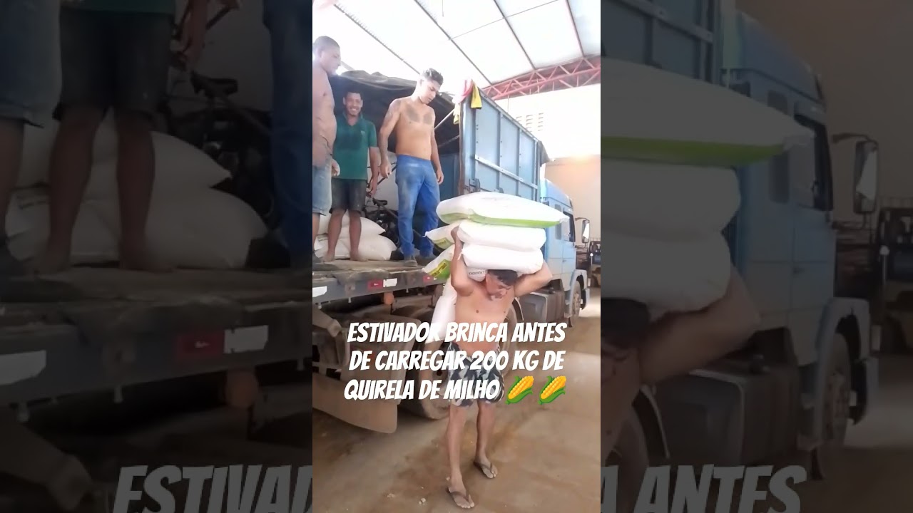 Descarga de milho e quirela #shorts