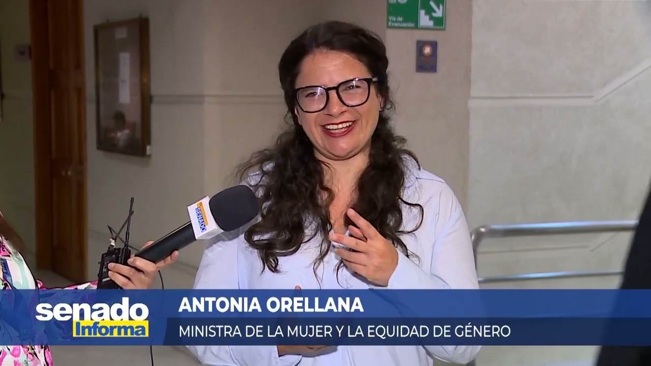 Senado Informa - Despachan proyecto que regula porte y tenencia de armas