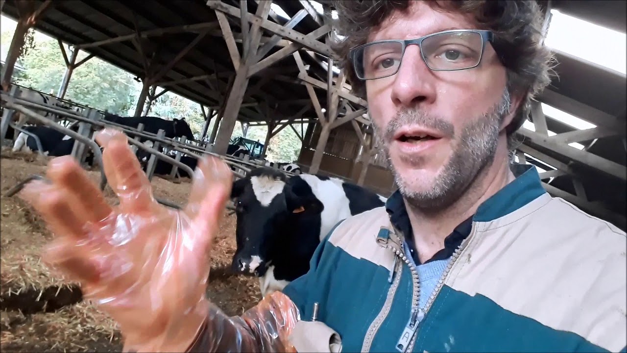 Je patauge dans le caca des vaches et c'est pour leur bien! Diagnostic BEA 1