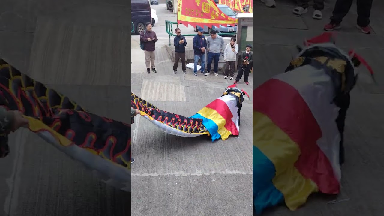 When a dragon visited at the community