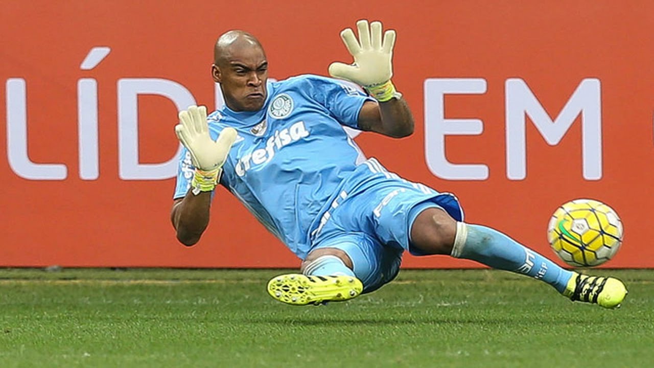 JAILSON ● Spectacular Saves 2016 ● SE Palmeiras ||HD|| 🇧🇷