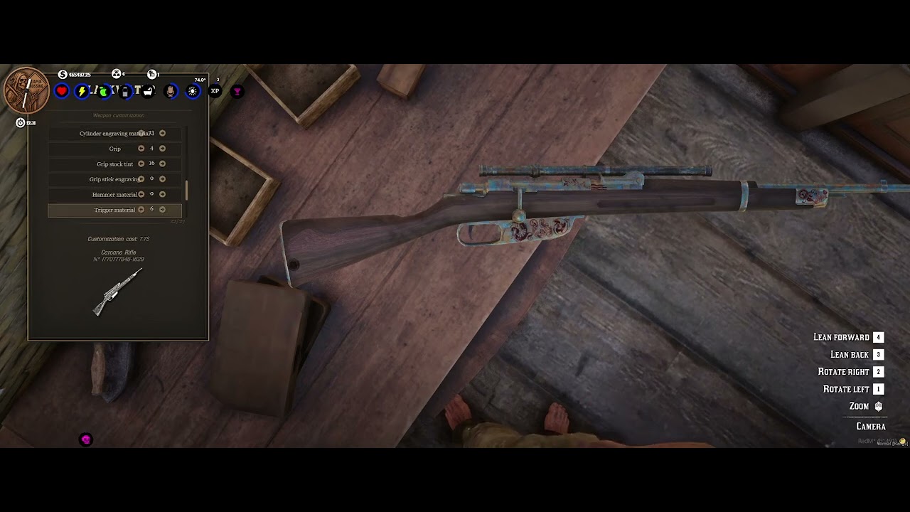 gun custom
