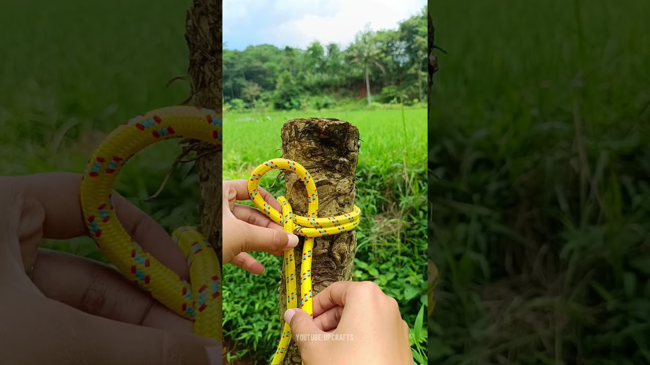 Fast and easy quick knot 