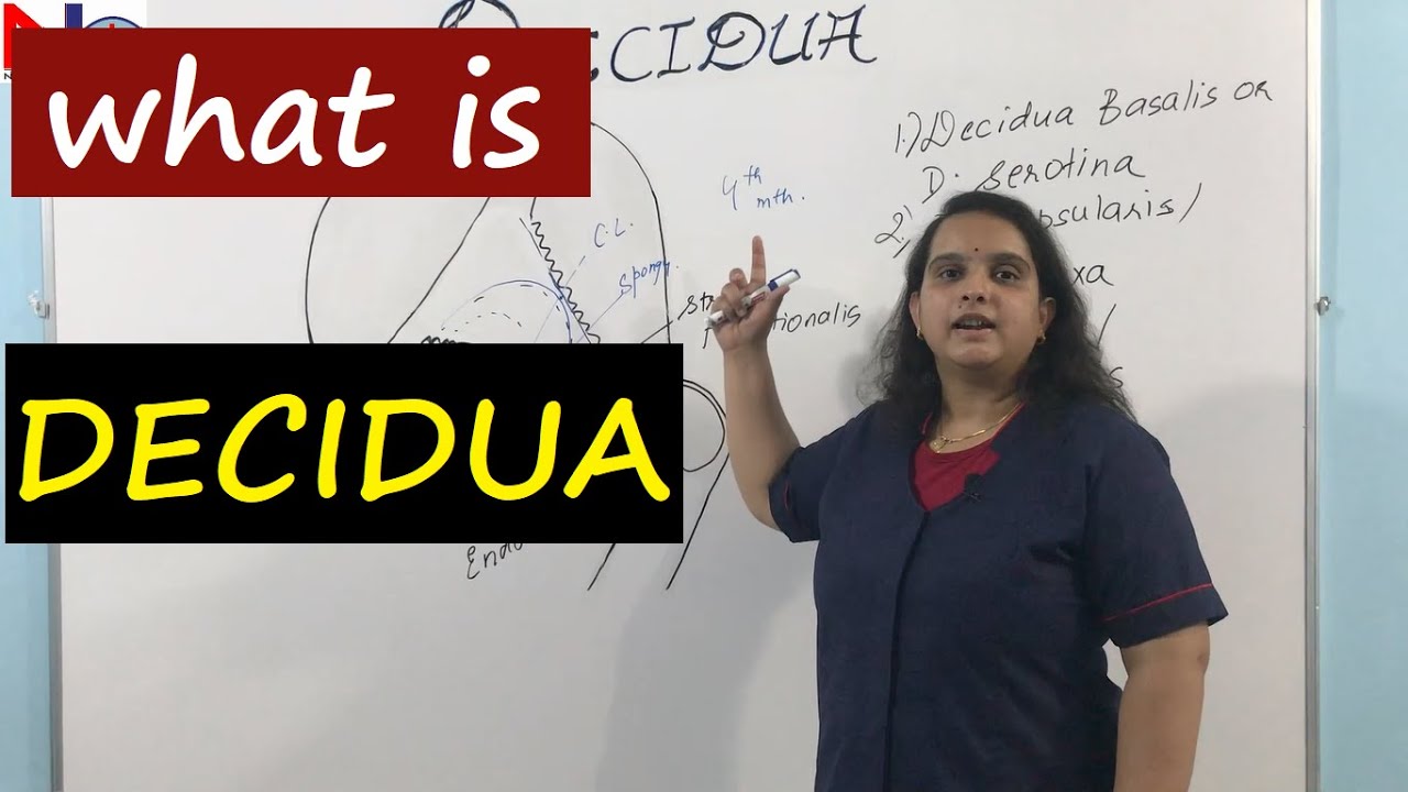 Decidua | Placenta Development [Part-2] Nursing Lecture