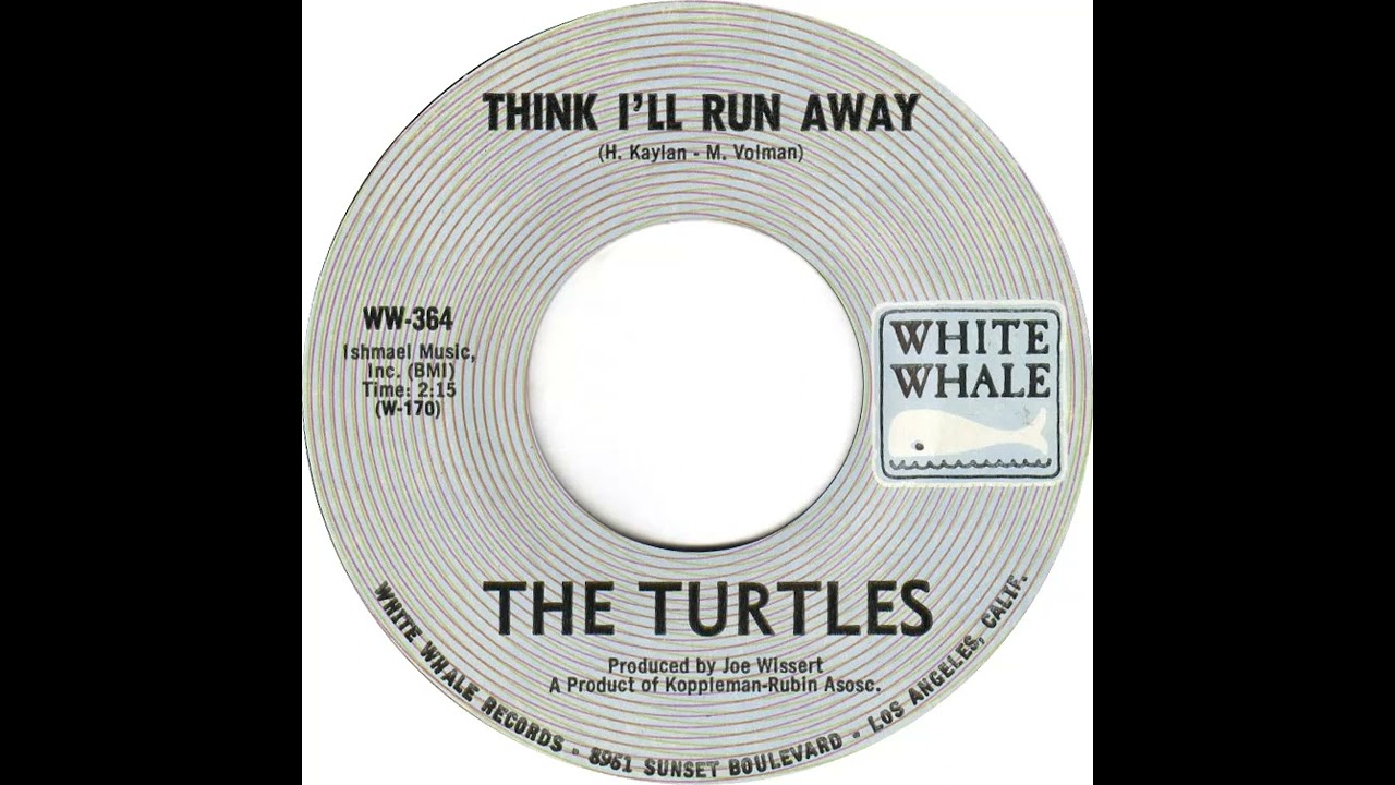 (24b) Turtles - Think I'll Run Away