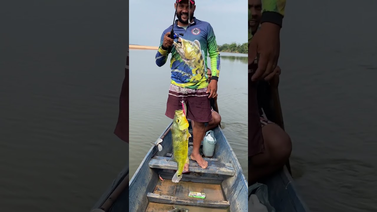 Tucunar&eacute; top!!! Inscreva-se no canal😁#pescaria #fishing #tucuna #pesca # #nature #riotocantins