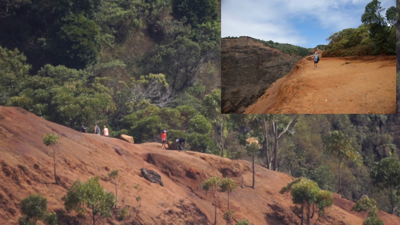 Waimea Canyon Trail
