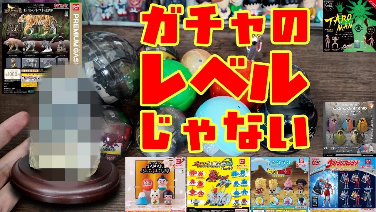 1000円の神クオリティ！ネコ科のトラが欲しい！！#ガチャガチャ #カプセルトイ