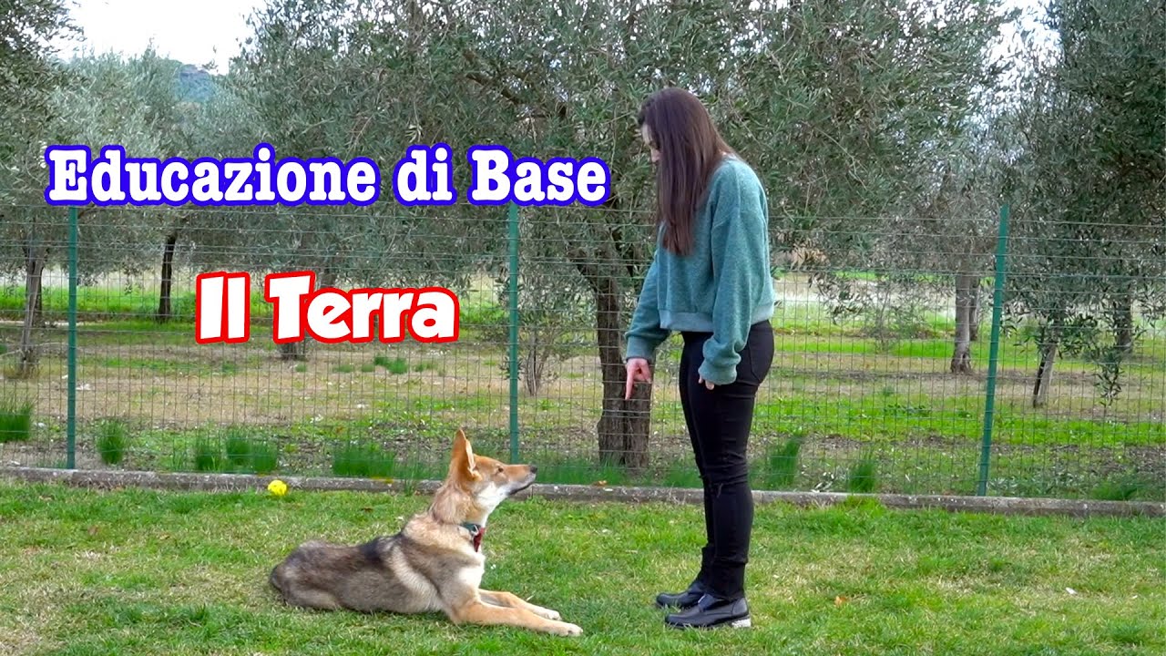 Il comando Terra