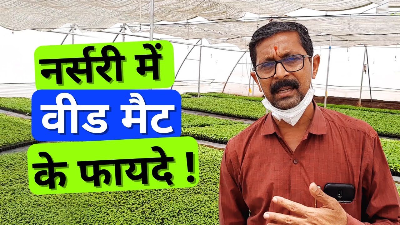 How Weed mat is beneficial in Nursery. वीड मैट नर्सरी में कितनी फायदेमंद है
