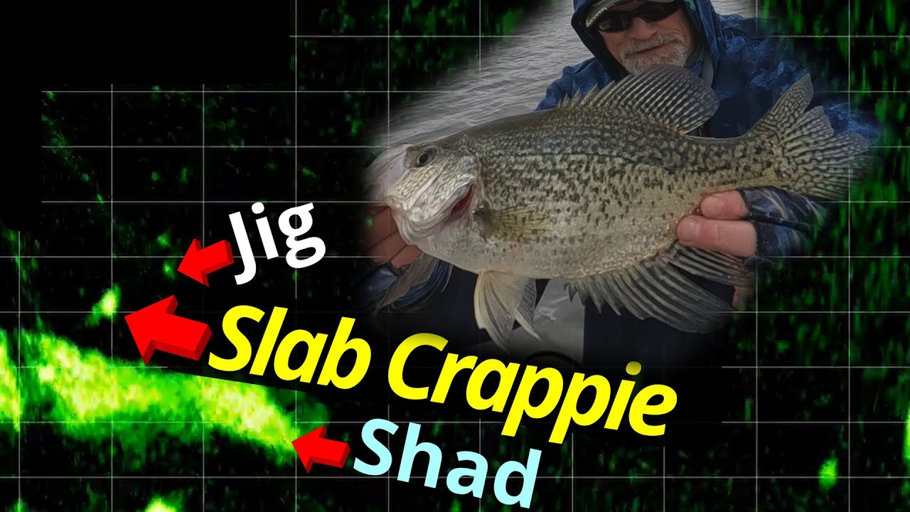 LIVESCOPE CRAPPIE SNIPING – RED HOT ACTION!!