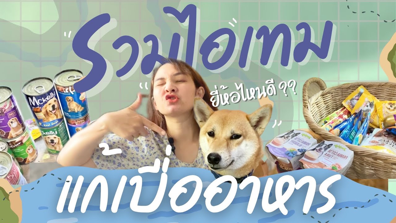 สำหรับสุนัขที่ชอบเบื่ออาหาร | ไอเทมของสุนัขกินยาก (EP.37)