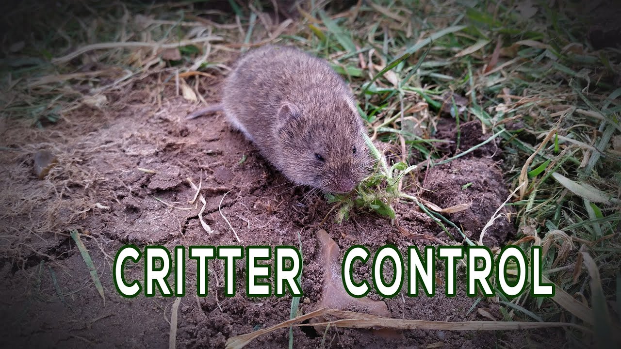 Critter Control | Digging Deeper | Nebraska Public Media